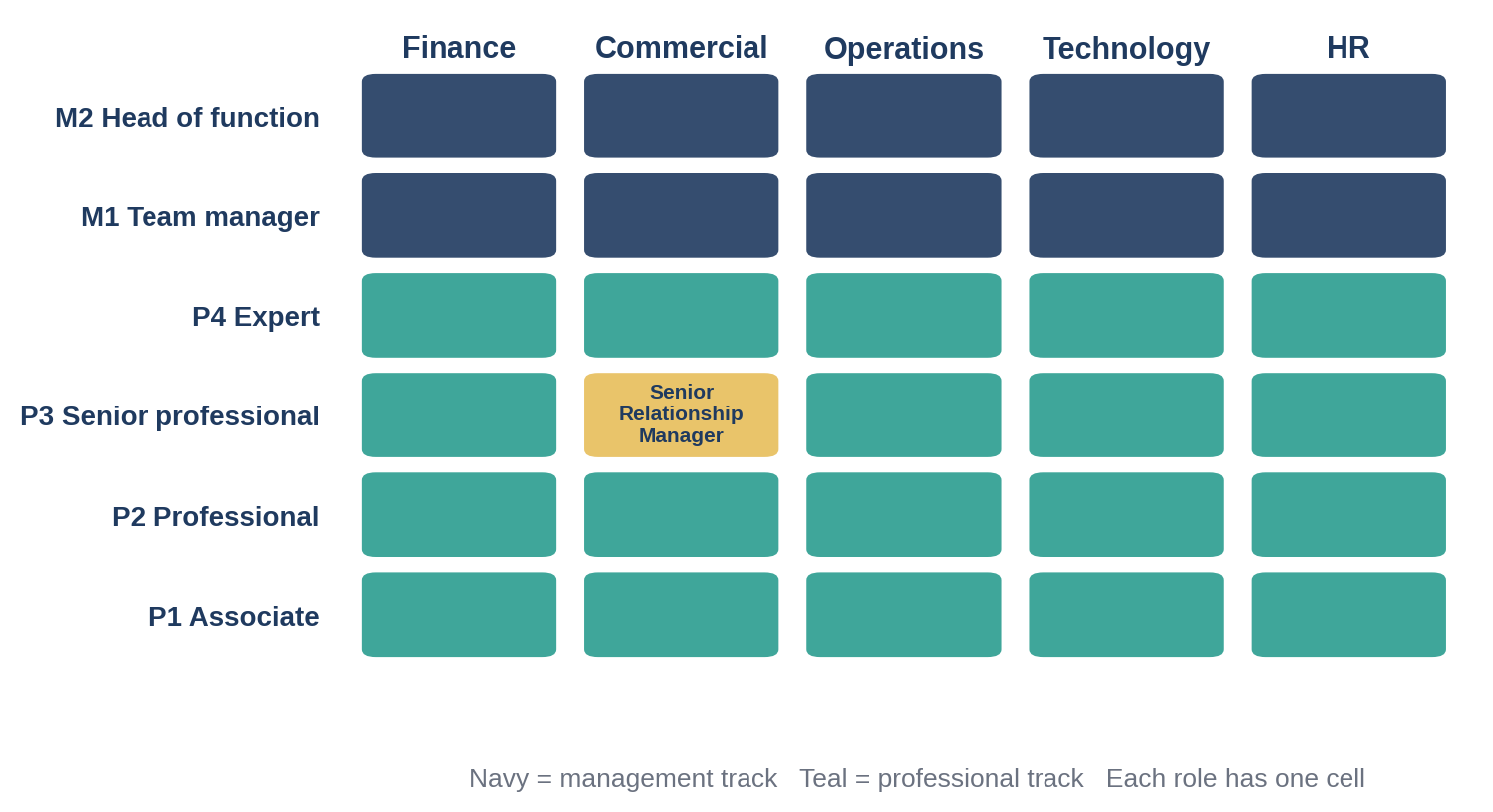 An illustrative grid of job families and career levels, with separate management and professional tracks