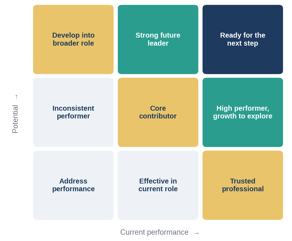 A nine-box grid is a common way to keep performance and potential apart