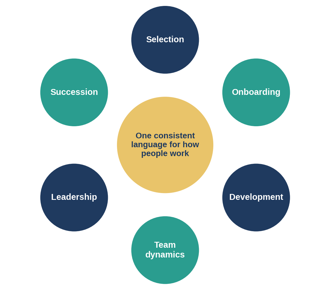 The same assessment insight can follow an employee through their career