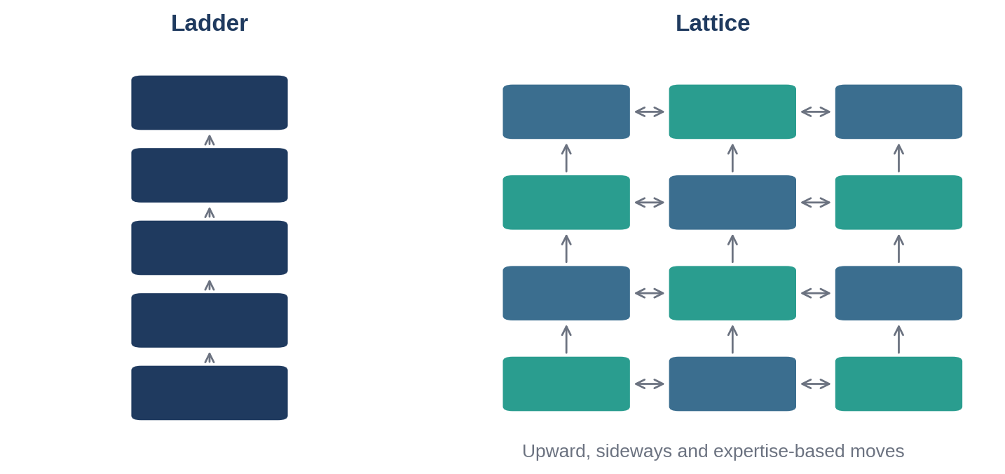 A lattice allows growth upwards, sideways and through deeper expertise